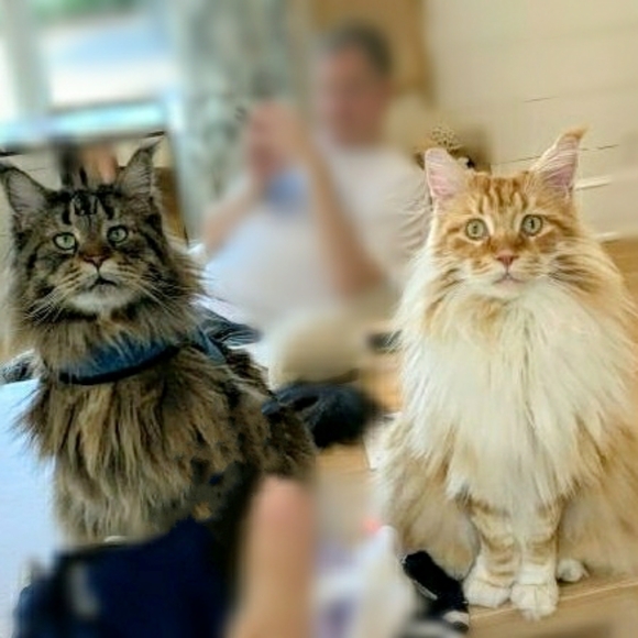 Meet the boys! - Picture 4 of 13